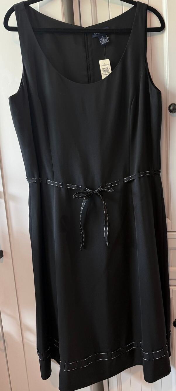 Ann Taylor sleeveless silk black A-line dress with ribbon detail sz 16 NWT